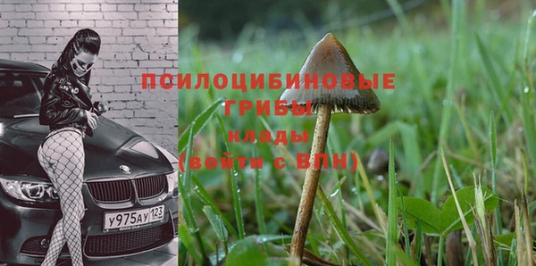 прущие крисы Алексеевка
