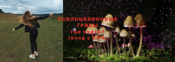 прущие крисы Алексеевка